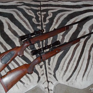 My Safari Rifles