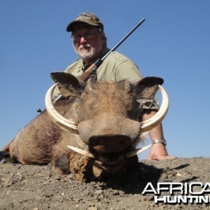 Motsomi Safaris - Warthog