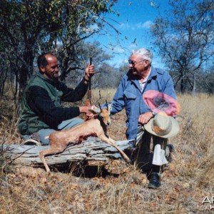 Steenbok