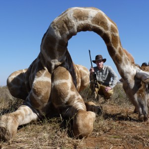 Hunting Giraffe in Namibia