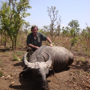 West African Savannah Buffalo hunted in Benin with Club Faune