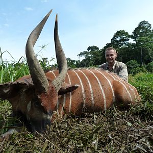 Bongo hunted in Cameroon with Club Faune