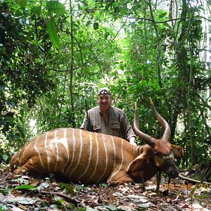 Bongo hunted in Cameroon with Club Faune