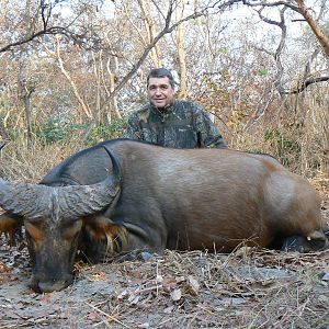 Central African Savannah Buffalo hunted in Central Africa with Club Faune