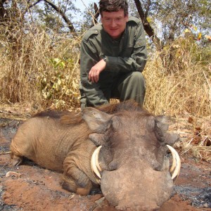 Warthog hunted in Central Africa with Club Faune