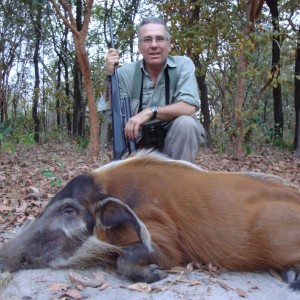 Red River Hog hunted in Central Africa with Club Faune