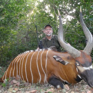 Bongo hunted in Central Africa with Club Faune