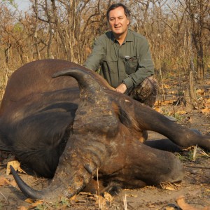 Central African Savannah Buffalo hunted in Central Africa with Club Faune