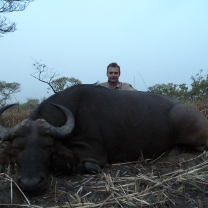 Central African Savannah Buffalo hunted in Central Africa with Club Faune