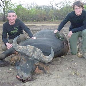 Central African Savannah Buffalo hunted in Central Africa with Club Faune