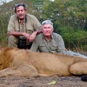 Lion hunted in Central Africa with Club Faune