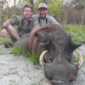 Warthog hunted in Central Africa with Club Faune