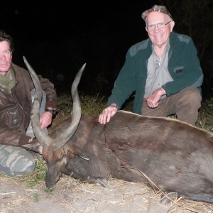 Western Sitatunga hunted in Central Africa with Club Faune