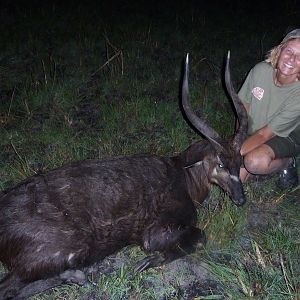 Western Sitatunga hunted in Central Africa with Club Faune