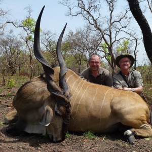 Lord Derby Eland hunted in Central African Republic with Rudy Lubin Safaris