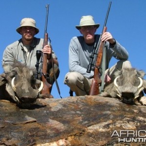 Namibia with a couple warthogs