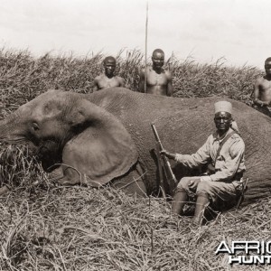 Elephant hunt circa 1920