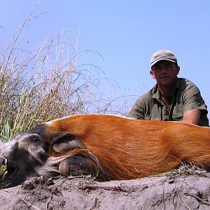 Red River Hog CAR