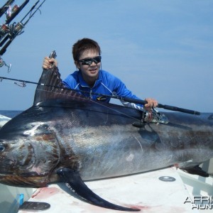 Andaman Black Marlin