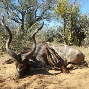 Kudu