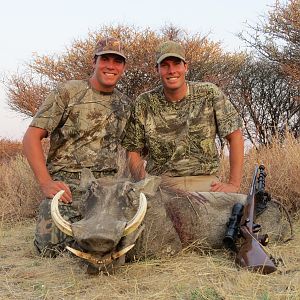 Warthog hunted with Ozondjahe Hunting Safaris in Namibia