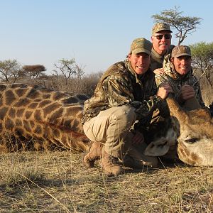 Giraffe hunted with Ozondjahe Hunting Safaris in Namibia