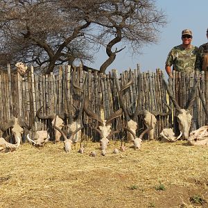 Trophies hunted with Ozondjahe Hunting Safaris in Namibia