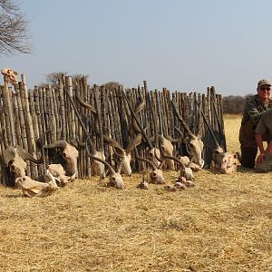 Trophies hunted with Ozondjahe Hunting Safaris in Namibia