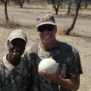 Ostrich egg Namibia