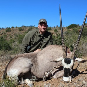 Gemsbok