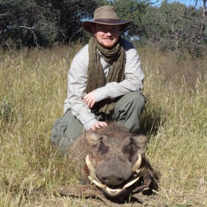 Hunting Warthog in Namibia