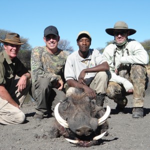 Hunting Warthog in Namibia