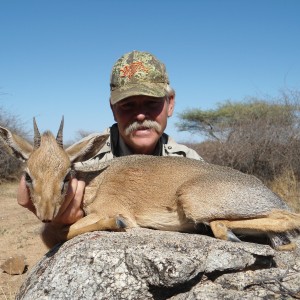 Hunting Damara Dik-Dik in Namibia