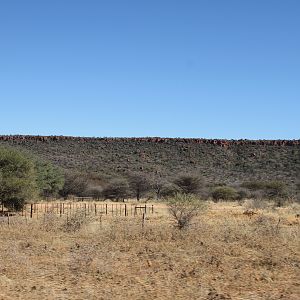 Waterberg National Park