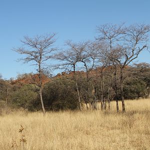 Waterberg National Park Namibia