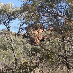 Waterberg National Park Namibia