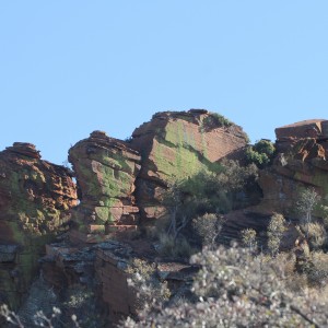 Waterberg National Park Namibia