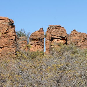 Waterberg National Park Namibia