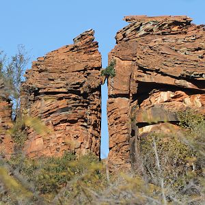 Waterberg National Park Namibia