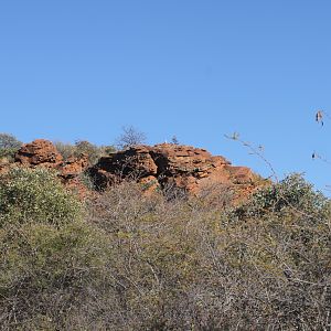 Waterberg National Park Namibia