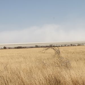 Etosha National Park