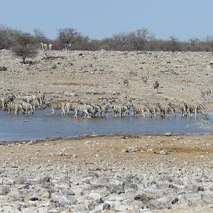 Etosha National Park