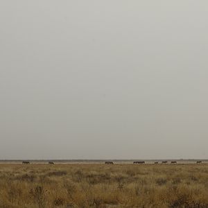 Etosha National Park