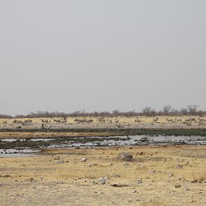 Etosha National Park