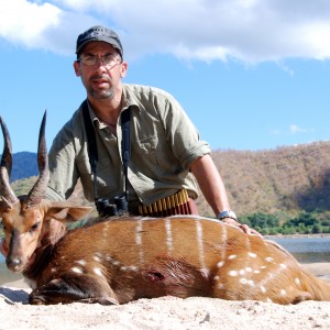 Chobe Bushbuck Zimbabwe 2012