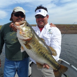 Bass of Sinaloa in Western Mexico