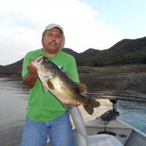 Bass of Sinaloa in Western Mexico