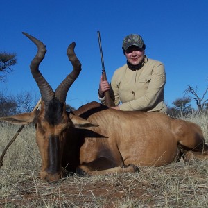 Red Hartebeest hunted with Wintershoek Johnny Vivier Safaris