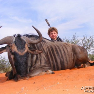 Blue Wildebeest hunted with Wintershoek Johnny Vivier Safaris