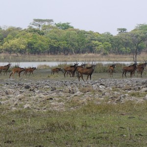 takeri oct12